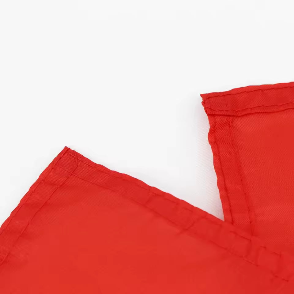 Drapeau Français